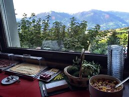 Hôtel Résidence de la Forêt