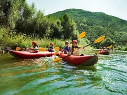 Hôtel Résidence de la Forêt