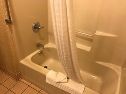 Spark by Hilton Guilford