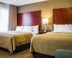 Spark by Hilton Guilford