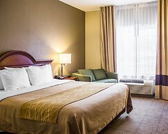 Spark by Hilton Guilford