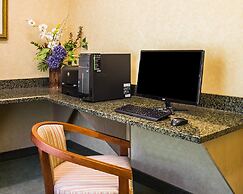 Spark by Hilton Guilford