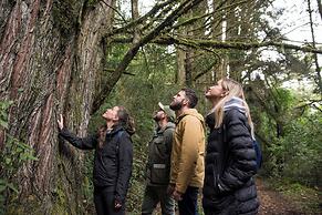 Termas Puyehue Wellness & Spa Resort