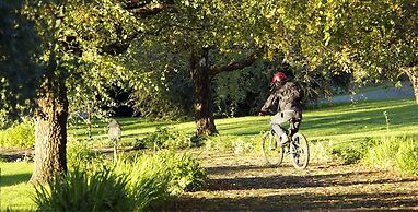 Termas Puyehue Wellness & Spa Resort