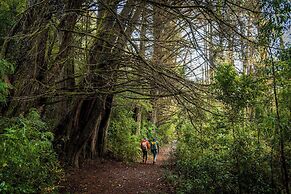 Termas Puyehue Wellness & Spa Resort