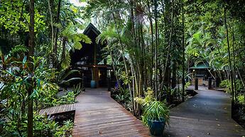 Ferntree Rainforest Lodge