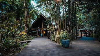 Ferntree Rainforest Lodge