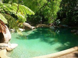 Ferntree Rainforest Lodge