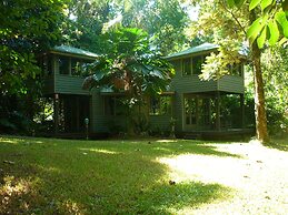Ferntree Rainforest Lodge