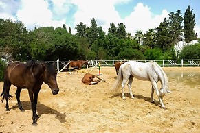 The Orangers Beach Resort and Bungalows - All Inclusive