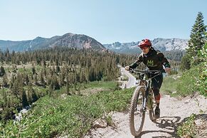 Juniper Springs Resort