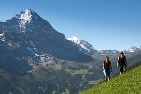 Central Hotel Wolter