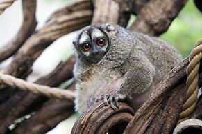 Gaylord Texan Resort & Convention Center