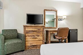 Econo Lodge Custer - Crazy Horse Area