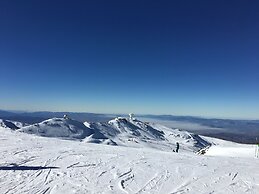 Sercotel Palacio De Los Gamboa