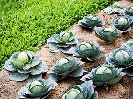 Pullman New Delhi Aerocity Hotel