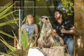 Jamala Wildlife Lodge
