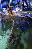 Jamala Wildlife Lodge