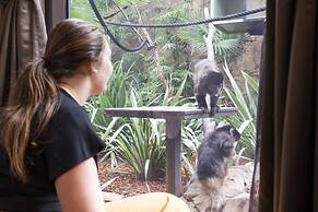 Jamala Wildlife Lodge