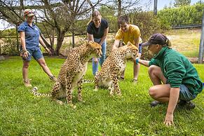 Jamala Wildlife Lodge