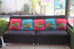 Hotel Sloth Backpackers