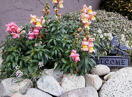 A View to Remember Bed & Breakfast