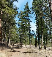 A View to Remember Bed & Breakfast