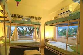 Zostel Udaipur - Hostel