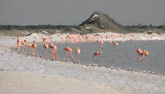 Hotel Posada San Juan