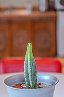 Cliff House Lodge B&B