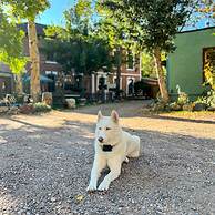 Cliff House Lodge B&B