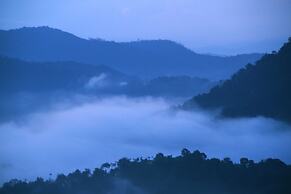 Green Trees Munnar