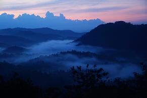 Green Trees Munnar