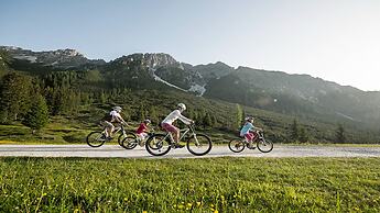 Vitalhotel Edelweiss