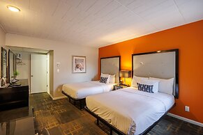 Hotel Royal Oak