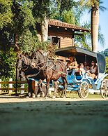 Fazzenda Park Resort