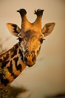 Grand Hotel, Hotel Boutique Tepatitlán
