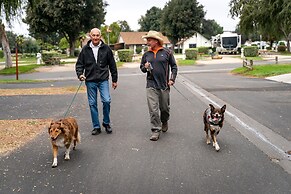 Flying Flags RV Resort & Campground