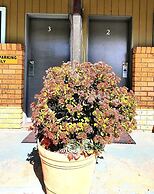 Young Goldrush Motel