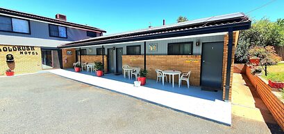 Young Goldrush Motel