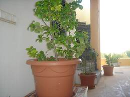 Iliaktida Apartments