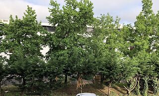 Premiere Classe Bordeaux Ouest - Mérignac Aéroport