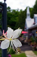 Le Petit Clocher Gîte Touristique B&B