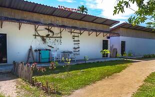 Dancing Elephant Beach Club - Hostel