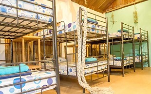 Dancing Elephant Beach Club - Hostel