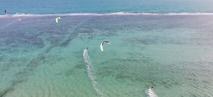 Dancing Elephant Beach Club - Hostel