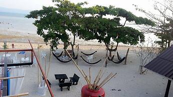 Dancing Elephant Beach Club - Hostel