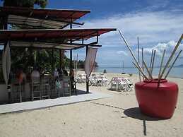 Dancing Elephant Beach Club - Hostel