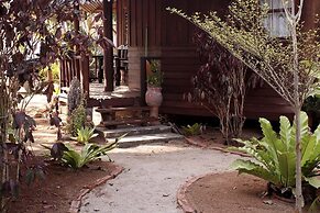 Dancing Elephant Beach Club - Hostel