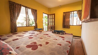 Dancing Elephant Beach Club - Hostel